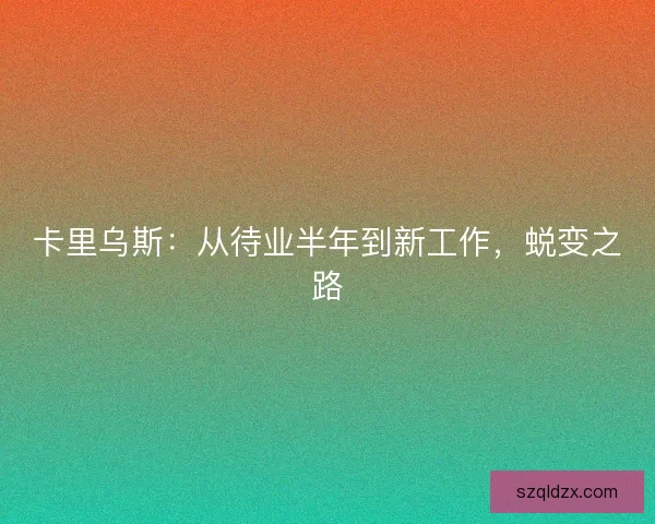 卡里乌斯：从待业半年到新工作，蜕变之路