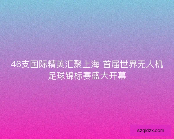 46支国际精英汇聚上海 首届世界无人机足球锦标赛盛大开幕