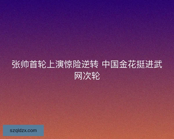 张帅首轮上演惊险逆转 中国金花挺进武网次轮